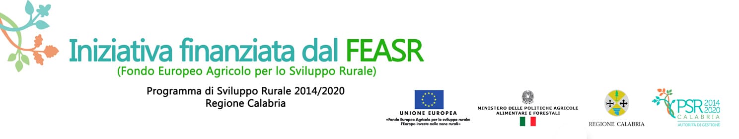 bando feasr
